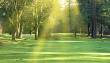 Gilbertson Funeral Home